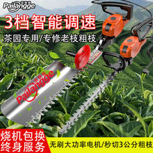 ʈ@늄޼CGhC~֦ɲC򻨽y