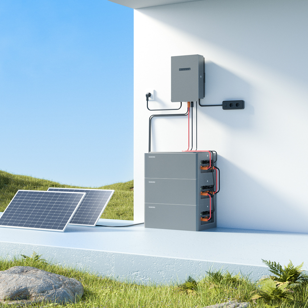 2400W智能离并网逆变器 太阳能光伏储能发电系统 2.56kWh电池包