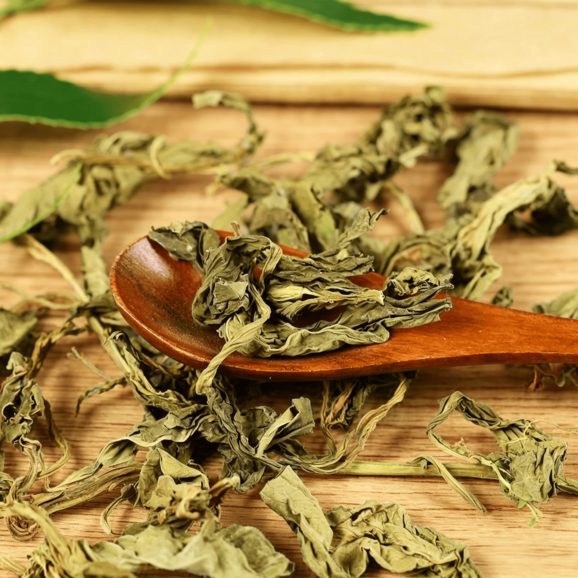 Ling Xiang Cao Dried Lysimachia Foenum Graecum Herb 500g Traditional Chinese Aromatic Herb for Tea and Decoction in use