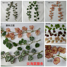 ����ֲ��⺣���ٗl�����~�G�~�����~���҃��b�픻��ٵ��@����