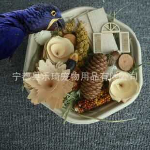 ��͸��W�^�B�����Ȼ����Ғʳ�� �B�\��ҧ�␞��Ʒ �羳�S�����l