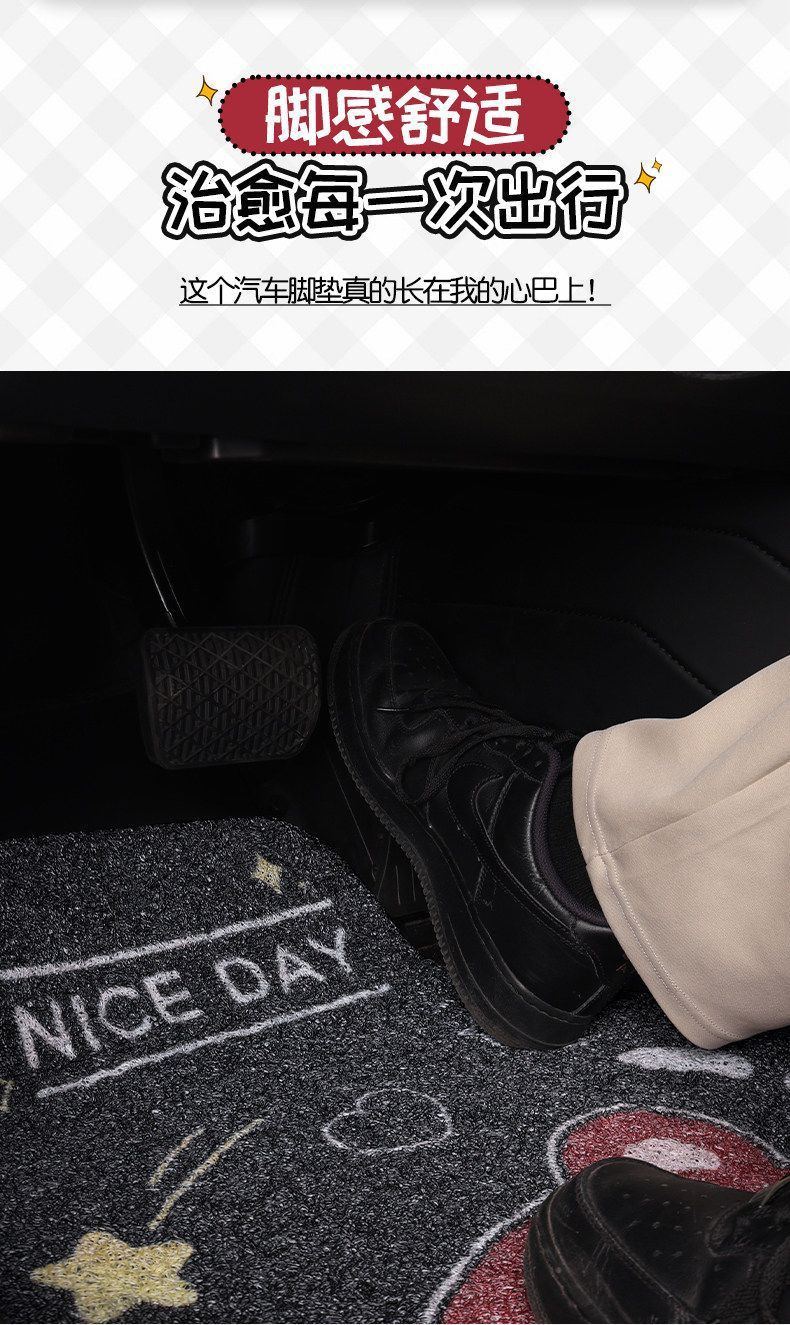 Universal Wire Loop Car Floor Mat, Cartoon Cute Design, Dust-Removing, Easy to Maintain, Wear-Resistant, Dirt-Resistant, Single-Piece Carpet for the Car Interior