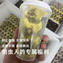 �̲豭�b�ձ����������������ͺ��J���������،m���ܠI�Bʳ��