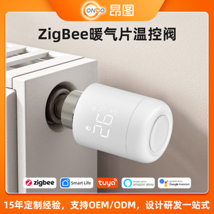 �������T�fZigBee���ܐa���y ů��Ƭ������ �֙CAPP����TRV�ؿ��y