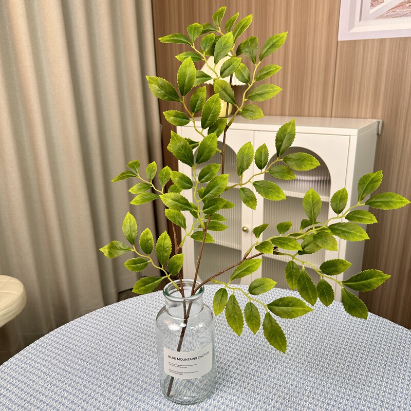 シミュレーション緑植単枝束ブラジル木楡樹葉室内装飾造景竹葵客間装飾シミュレーション植物|undefined