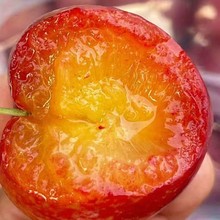 �������\������t�Ⲽ����ˮ�����r��