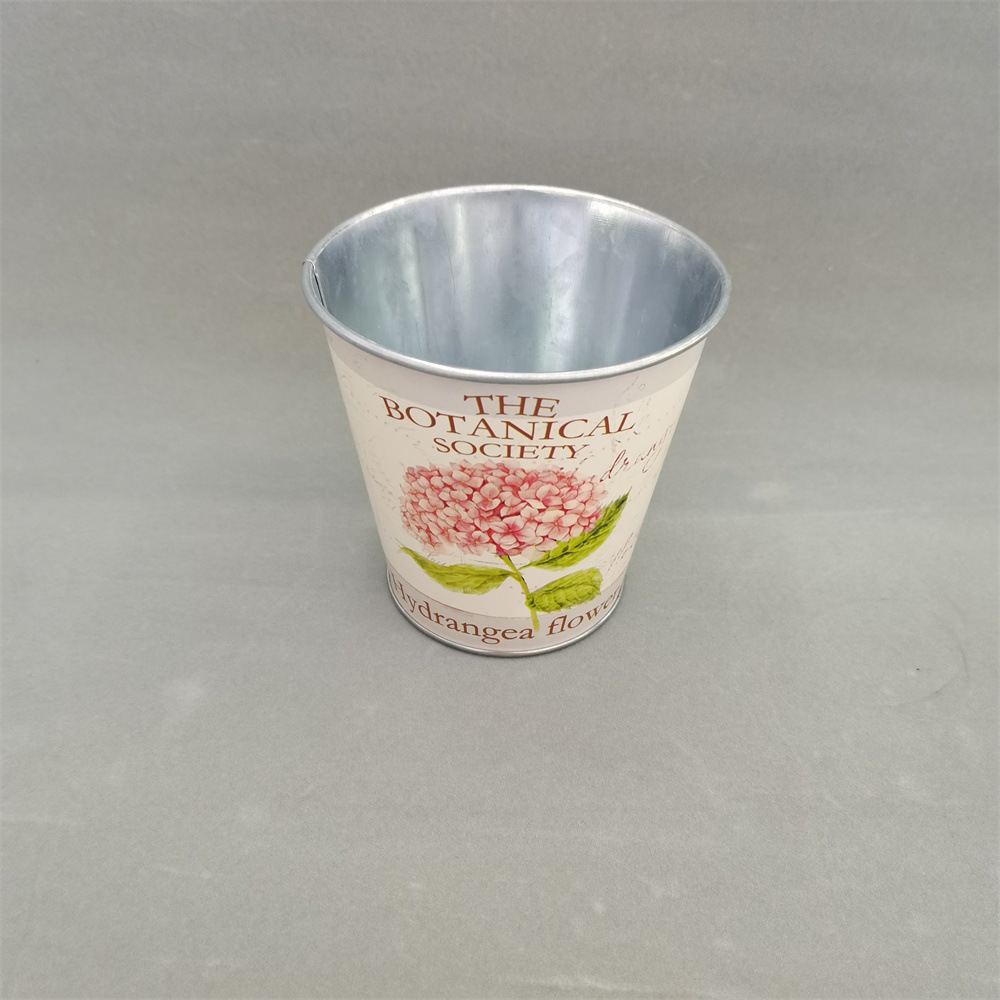 QQ图片20231116135909