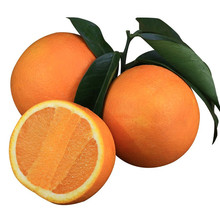 现摘伦晚脐橙春橙帝王橙当季水果高山脐橙手剥橙子非赣南橙冰糖橙