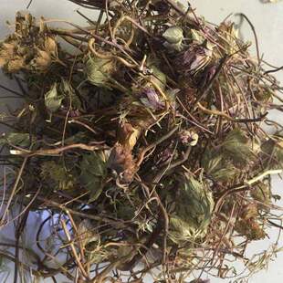 ����� ţϥ�� ������ ������ 50-500�˰��]��؛��؛