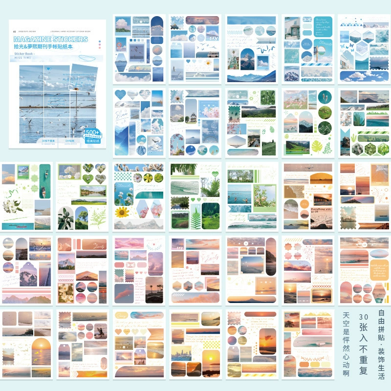 Стикер серии справочника Pickling the Journal Handbook Retro INS Salt Salt Salt Flower Sky Patching 30 листов