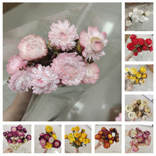 A����Ʒ���U�ղ��}��ɭϵ�ɻ��滨�r�ղ廨 �Ҿ��b��������߲ʾ�