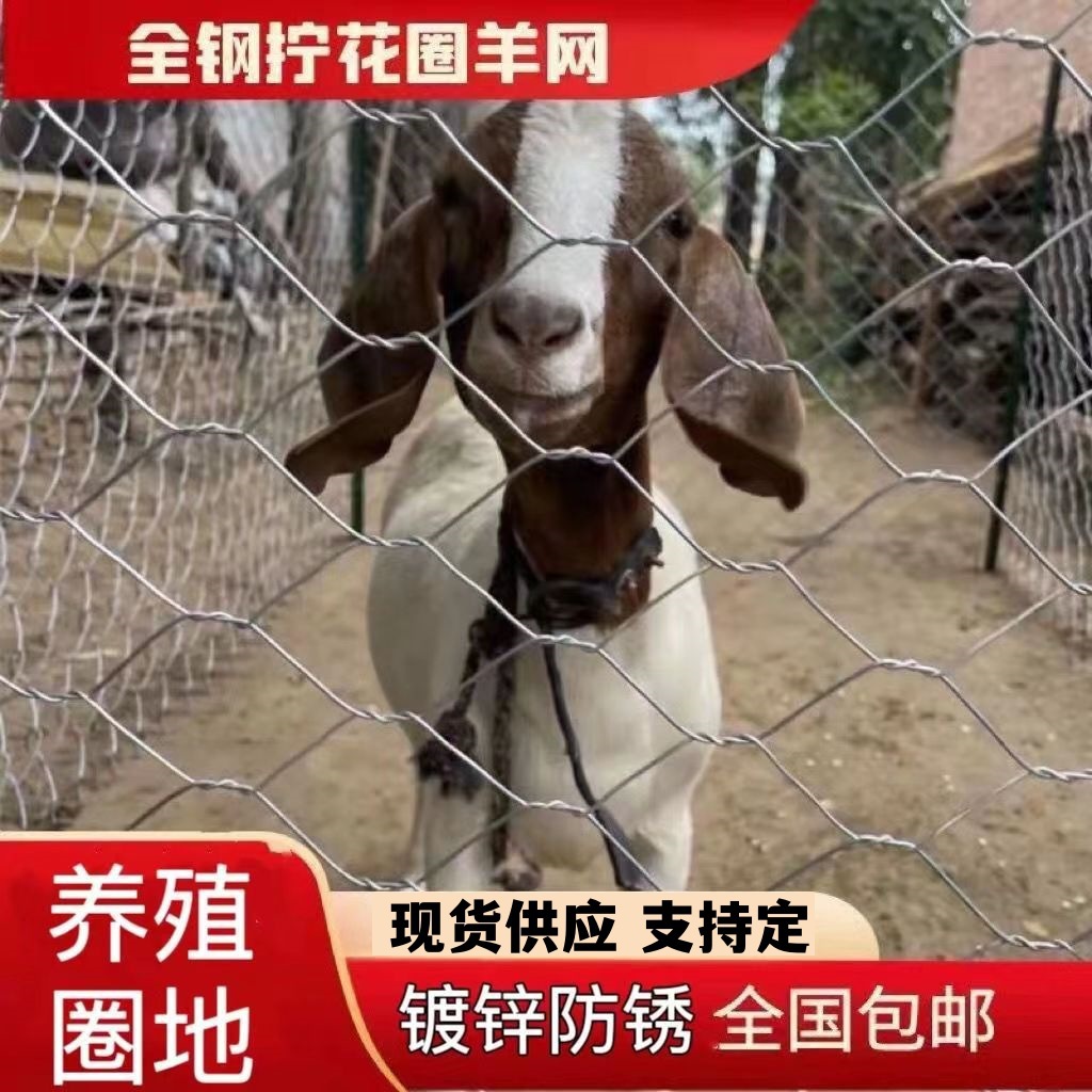 花网拧钢丝网六角网养殖农场栅网隔离圈地牛羊猪围网镀锌铁丝网