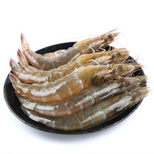 對蝦活凍基圍蝦大明蝦青蝦鮮活白蝦海蝦冷凍水產海鮮批發海捕大蝦