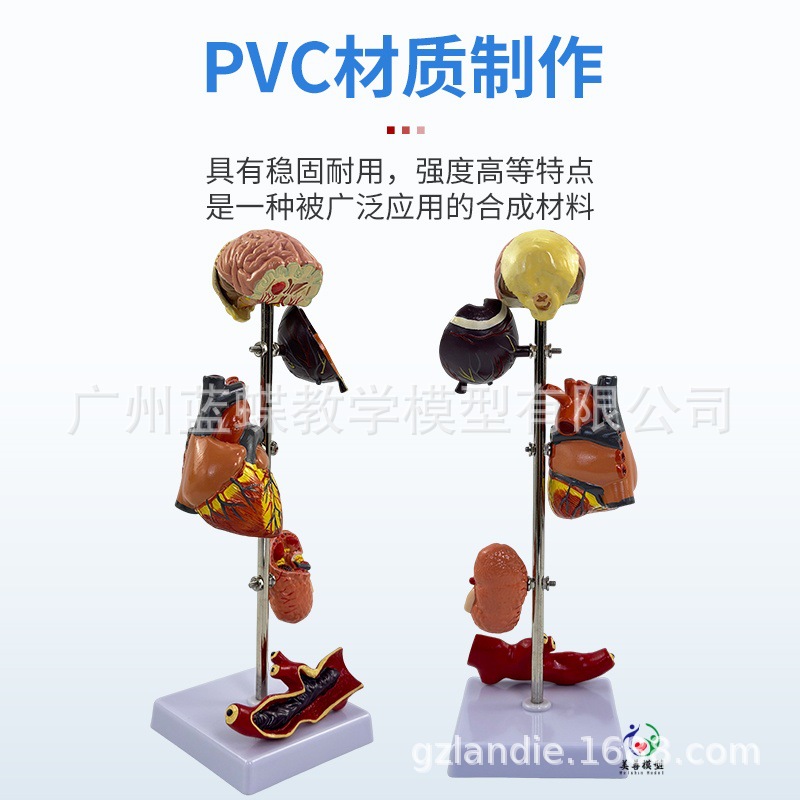 ��/Ѫѹģ�� ����/��������ģ�� ��̬������ ��Ѫѹ��������Ѫ��