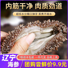 大连海参即食鲜活淡干海渗辽参干货野生长岛辽参单个包装送礼礼盒