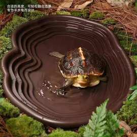 黄缘龟水盆可排水泡澡盆爬梯生态造景水族通用爬宠乌龟喝水