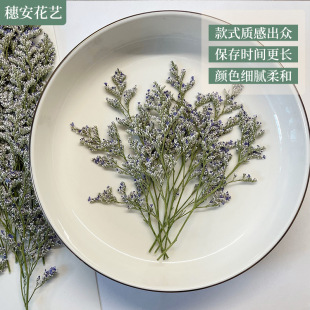 Dried Flower Embossed Kidsren's Handmade Bookmark Lover's Grass DIY Invitation Embossed Photo Frame Plant Specimen Photo Decorative Flower