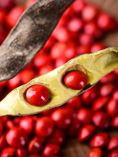 ��˼��ɢ���ֹ�diy�ִ����ϼt���������ԭ���ᭇ���Ӱ��t������