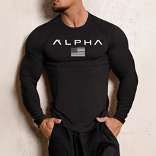 �羳�¿�ALPHA��ʿ�����L��o��T���\�Ӵ�����ٸɏ����ܲ�����T