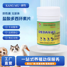 �S��ֱ�l�F���}������h��Ƭ�i�x�ٸ�Ȯ؈�ݸ��m��������֧ԭ�w