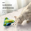 Genuine rotating airplane, toy, Amazon, cat