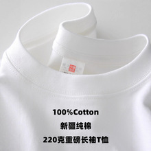 正肩短袖遮肚子春秋装夏季t恤女长袖上衣宽松白色内搭纯棉打底衫