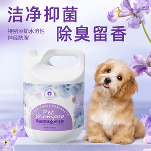 Ferret-Scented Dog Pet Shower Gel Large Barrel 4L Pet Shop Beauty Salon Bath Liquid Shampoo 4kg Large Capacity