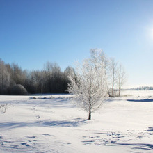 &mdash;&mdash;&mdash;&mdash;&mdash;&mdash;&mdash;&mdash;�����ġ�U~�͇\�\�����Yë��Ь 110301