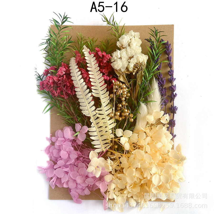 [Paquete de material de estampado A5] Flor seca flor eterna marco de fotos paquete de material de estampado DIY flor aromaterapia vela flor seca
