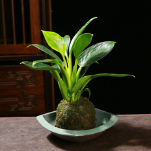 ����ʽ�M�������մɻ������ľˮ��̦�\���бP���₀�ԾGֲ�辰��