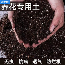 营养土通用种花种菜有机泥土家用绿萝花卉盆栽多肉种植土大包花土