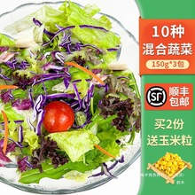 新鲜蔬菜沙拉食材150g*3包 混合蔬菜西餐色拉生菜健身轻食沙拉菜