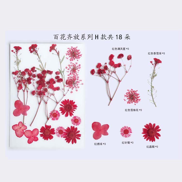 Paquete de material en relieve jardín de infantes en relieve DIY marcador epoxi flor seca caja del teléfono en relieve planta muestra