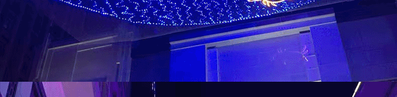 2021-详情页-220V-缕空天幕灯饰画-111_12.g