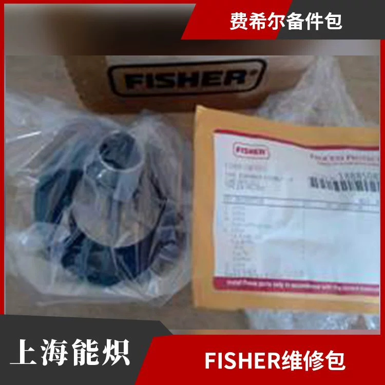 Регулятор Fisher EZR 161EB, комплект запасных частей для пилота 161EBM, аксессуары для мониторинга и обслуживания