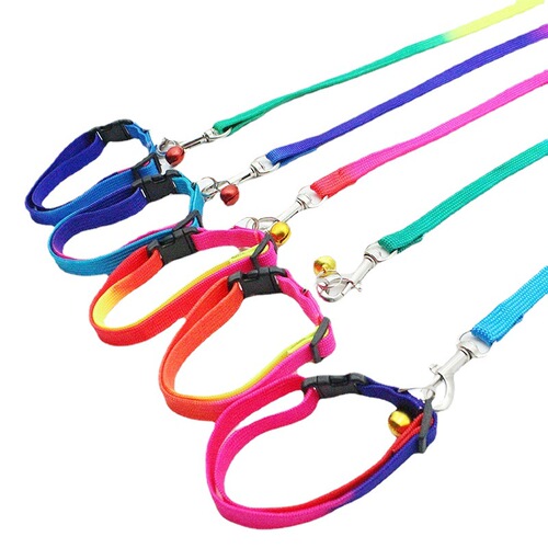 Pet supplies Xixi colorful collar leash rainbow color nylon dog leash factory direct sale 1.0*120