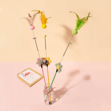 ��Ů��؈��؈��������˽␞�L�Uë����ë����K����С؈������l