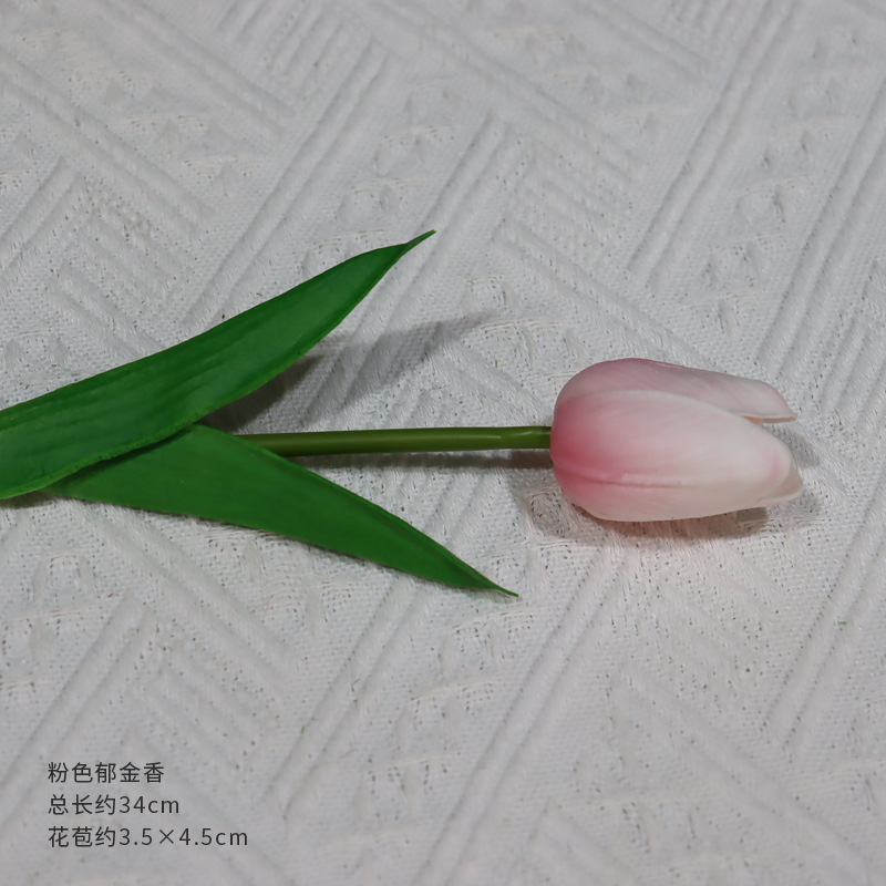 핑크 튤립
