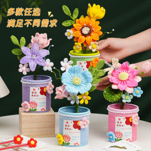 �̎����Y��û����PͲ�[���ֹ�diy���ϰ�2026�¿���Ů�ώ��YƷ