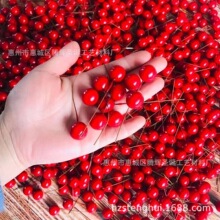 12mm�A��{�� ������ĭˮ�� ���� С�t�� ĵ���� �}�Q��Ʒ���