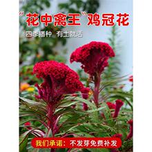 �u�ڻ��ѷN���׻��ͺ������޸��ļ������N�����Ի��ܰ��UͥԺ����