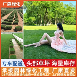 乔木;其他园林植物;灌木