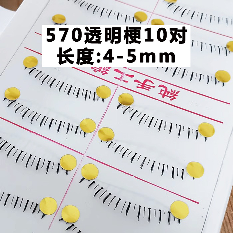 570.jpg
