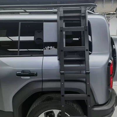 Roof rack, Leopard 5 roof platform ladder