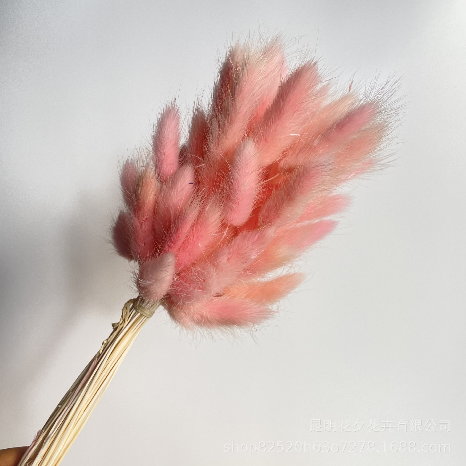 IMG_0368 - 副本.JPG