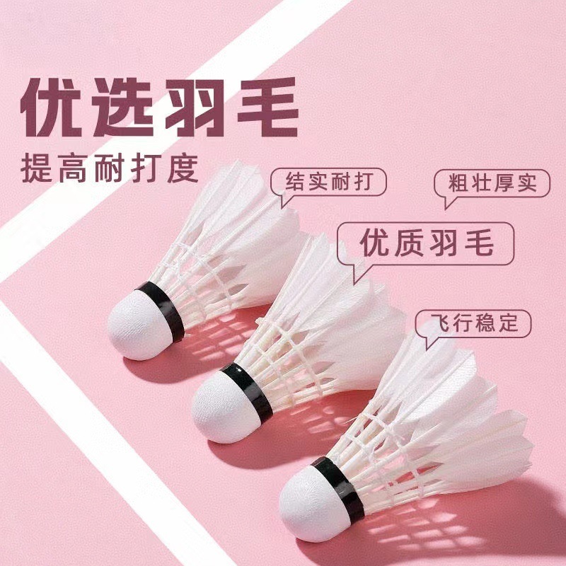 a3c1582c-a5ec-45fe-bc7f-369b38001a74.jpe