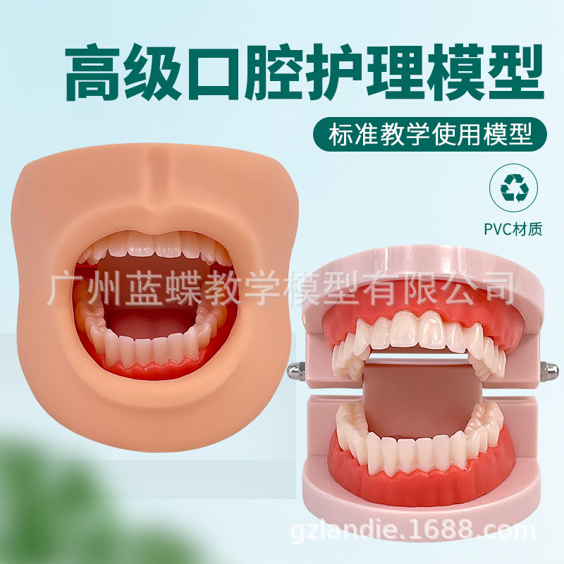 ��Ȼ������������ģ�� �߼���ǻ����ģ��(������)����ͷ