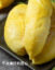 image_ʱ_20240108112450 760248822737de5e96eb0-4ba0-490