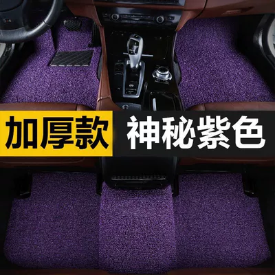 Modelə uyğun ayaqaltı | Row Car Wire Loop Floor Mats - buick-gl8-special-black-and-purple-thick-style