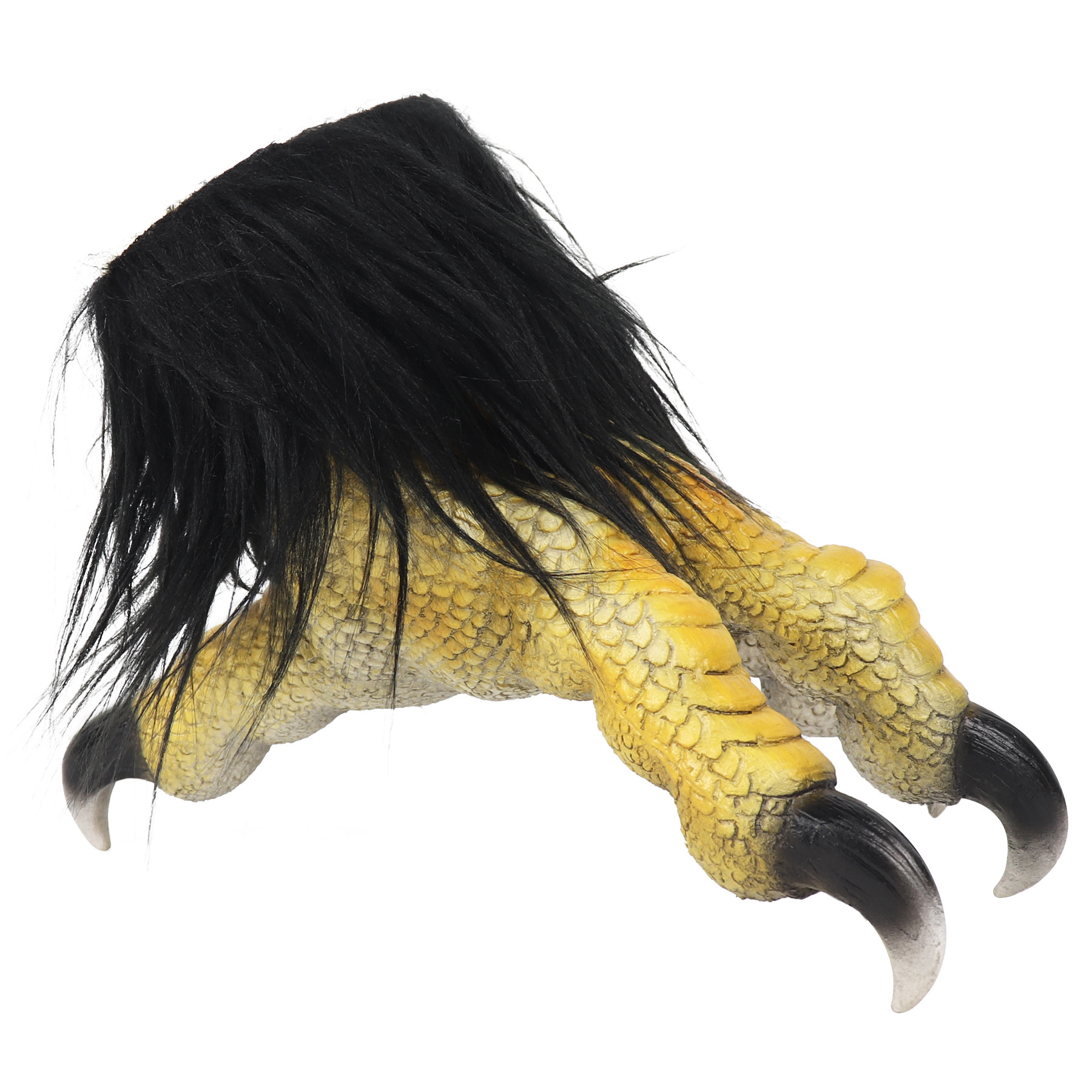 Орлиные черные когти